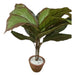 Loschi Artificial Plant Artificial Plants 7