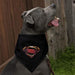 Louie de Coton Justice League Superman Logo Pet Bandana 2