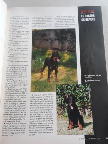 Revista El Mundo Del Perro N° 187 Año 1995 El Beauceron 3