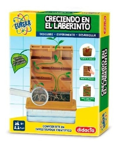 Copernico Growing Kit in the Maze IK0181 0