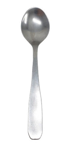 Set of 12 National Cosmos Stainless Steel Tea Spoons - Bulk Pack 0