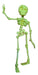 Articulated 3D Skeleton Toy - Choose Your Desired Color 5