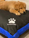 Mascotitas Small Dog Bed / Tear-Resistant / Waterproof + Cushions 3