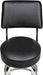 Fender Barstool Backrest 30 Es 2