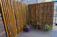 Bamboo Cane Fence Panel 100x120 cm 4