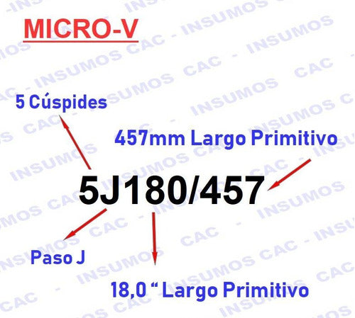 Micro-V Belt 5J230/5J585 x5 Cusps Pix 1