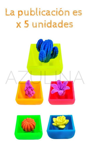 AQUA CACTIS Cactus Grows in Water Souvenir Various Models Colors Eggs 1