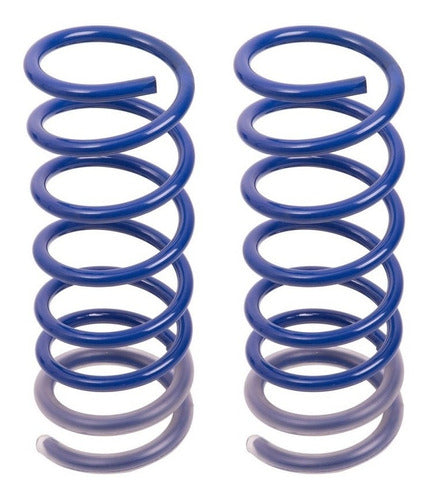 AG Progressive Spring Kit X2 for Ford Kuga 2.5 AT 11/...TRAS 0