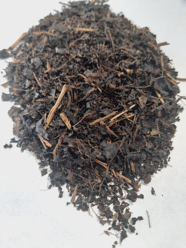 Té Negro X 1kg (Camellia Sinensis) Misiones 2