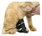Customized Front Leg Cat Splint Up to 10cm Height 0