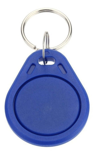 Siccba 100 RFID Proximity Keychains 125 kHz Access Control 7