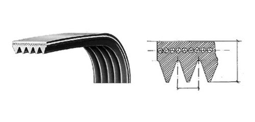 Correa Para Lavadora 1975 - Ph - Hutchinson 1