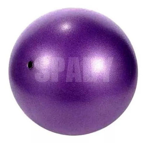 Pelota Pilates 21cm Fitness Gym Yoga Rehabilitación 7