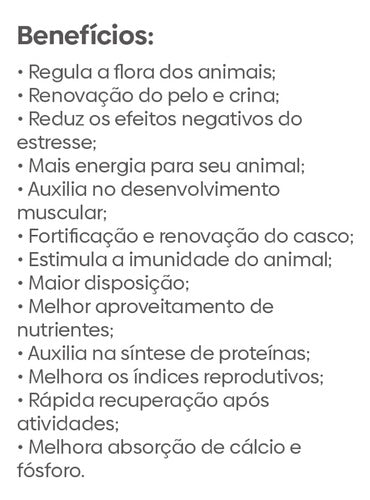 Suplemento Para Cavalo - Horse Competição - Mais Performance 1