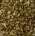 500 Eyelets 750 Golden Iron Scrap/Bookbinding Kit 0