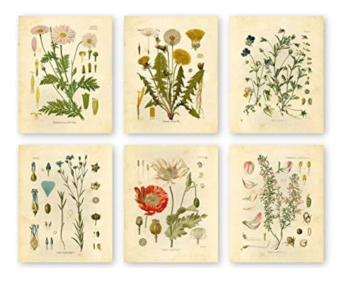 Ink Inc Botanical Prints Wildflower Prints Arte De Pared Flo 0