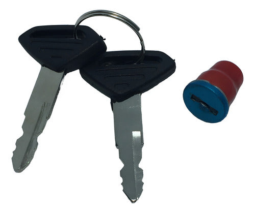 Cerradura Cacha Plastico Lateral  Rouser Bajaj Ns 220 0