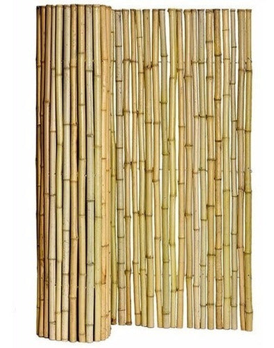 Bamboo Canes Pergola Panel Fence 100x150 cm 1 Quality 5