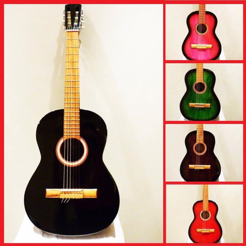 BIEL Guitarra Criolla Estudio + Funda Hot Sale Mejor Precio 1