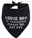 JPB Service Dog In Training Please Do Not Pet Bandana 0