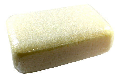Cleaning Sponge - Multipurpose - Mosaic Craft 0