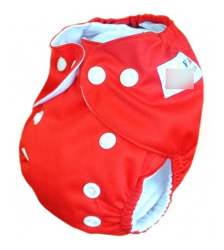 Alva Baby Eco-Friendly Cloth Diaper with Microfiber Insert for Newborns 1