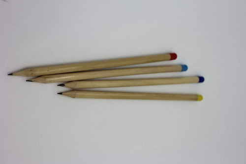 Bulk Plantable Eco Friendly Pencils with Shipping x100 Units 5