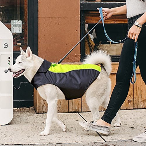 Vizpet Impermeable Para Perros Chaqueta Impermeable Ligera Y 5