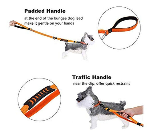 KASVER URUGUAY Heavy Duty Service Dog Leash 3