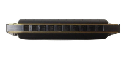 Hohner Pro Harp Diatonic Harmonica 20 Voices in E - Cuo 3