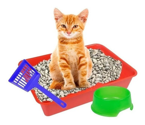 Verdeo Cat Litter Tray Kit with Feeder, Scoop, and Lemon Scented Crystals 2