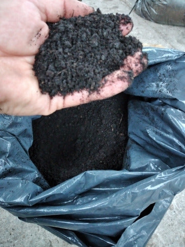 Super Black and Fine Peat Autocultivo 20 Lts Special Offer!!! 0