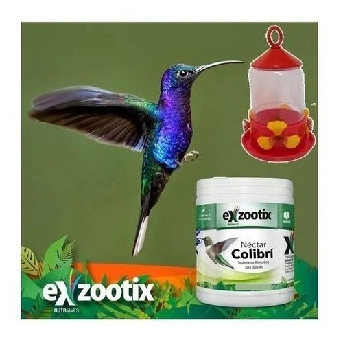 Exzootix Nectar for Hummingbirds 300g Feeder 3