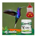 Exzootix Nectar for Hummingbirds 300g Feeder 3