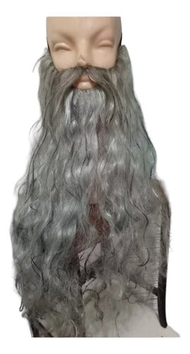 Barba Gris Matizada Con Rubio, No Peluca, By La Parti Wigs 0