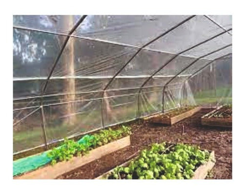 Brasil Nylon Greenhouse Thick 150 Mic - Thermal - 10 X 2.20 Mts 5