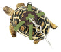 Bonaweite Adjustable Walking Leash for Small Turtles Green 0