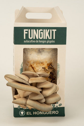 Oyster Mushroom Self-Cultivation Kit 0