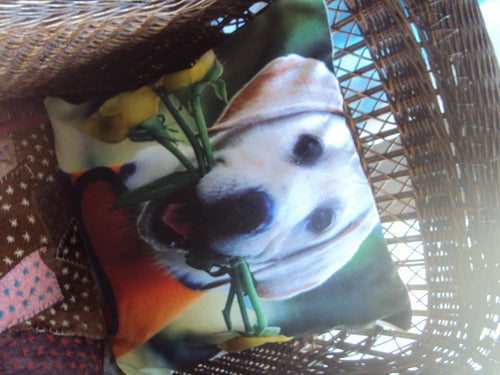 AZUL FRIDA Funda Para Almohadon De Perros Divinos Diseños Exclusivos 0