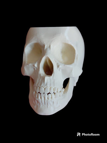 Superior Quality 3D Anatomical Skull Pencil Holder Gift 2