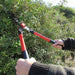 Tabor Tools B620 Hedge Shears for Trimming Edges, Boxwood, and Shrubs 3