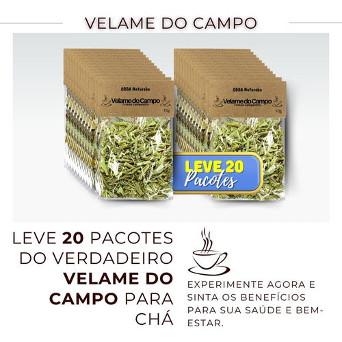 Leve 20 Chá De Velame Do Campo Verdadeiro Velame Da Caatinga 1