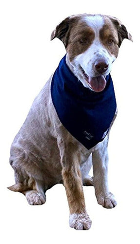 Canino Enfriamiento Enfriamiento Perro Grande Bandana 24 X 2 2