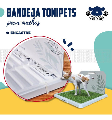 TONIPETS Premium Male Dog Potty Training Tray with 40% Off! 4