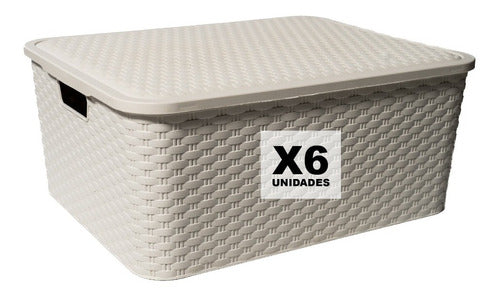 SVG Large Rattan-Like Organizer Box XL Pack of 6 Offer 1