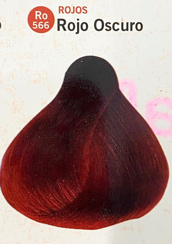 Hair Dye Sachet + Emulsion - Katalia 28
