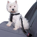 Oregon Pet Safety Belt for Car - Reinforced Dog Leash 0