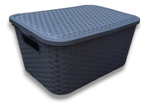 2 Plastic Rattan-Like Medium-Size Storage Baskets with Lid 25