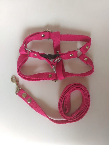 Adjustable Harness with Leash Size 2 for Medium Dogs 6
