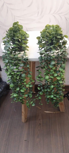 Pack of 2 Hanging Artificial Eucalyptus Plants with Black Pot 1